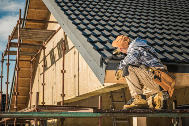 Best Roof Gutter Cleaning  in Lansdowne, MD